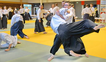 Aïkido photo Alain Peyrache sensei