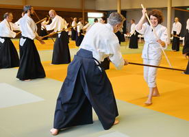 Aïkido photo Alain Peyrache sensei