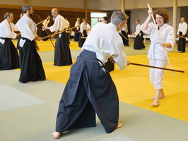 Aïkido photo Alain Peyrache sensei