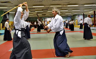 Aïkido photo Alain Peyrache sensei